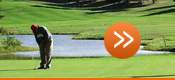 visit TGMS website